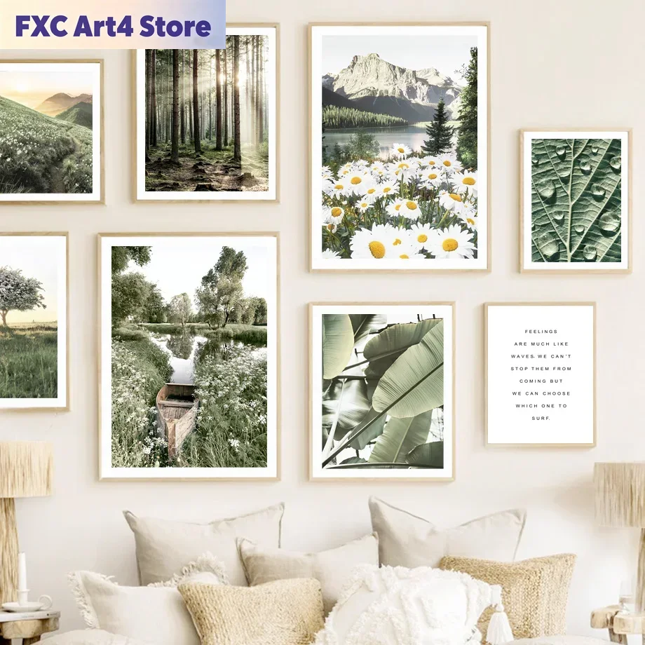 Photography Nature - Frameless Nature Mountain Daisy Lake Sunlight