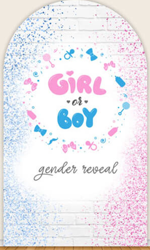 LS Gender Reveal Party Arch Co - Photography Questions 评论和价格